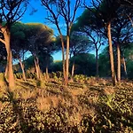 Дом отдыха Candiles Кониль-де-ла-Фронтера