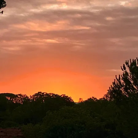 Candiles Conil De La Frontera