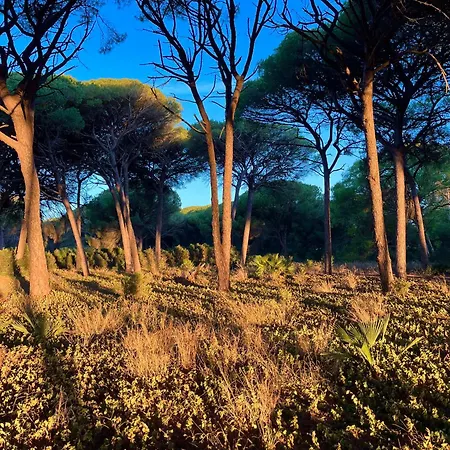 Hébergement de vacances Candiles Conil De La Frontera