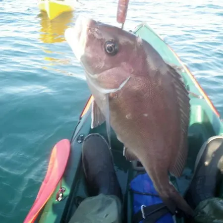 Hébergement de vacances Candiles Conil De La Frontera