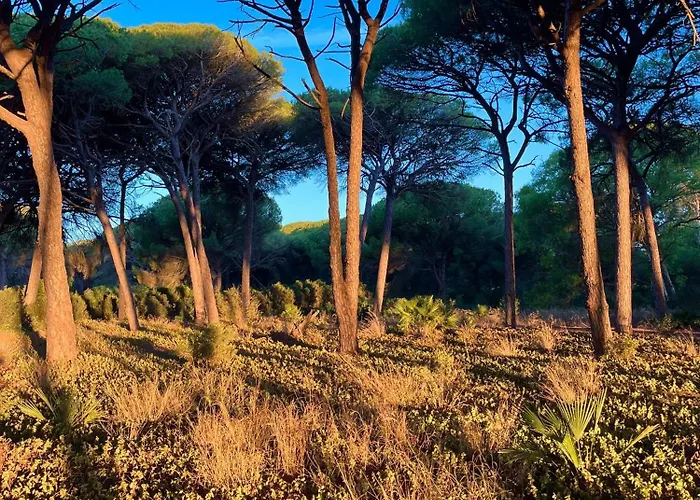 Semesterbostad Candiles Conil De La Frontera