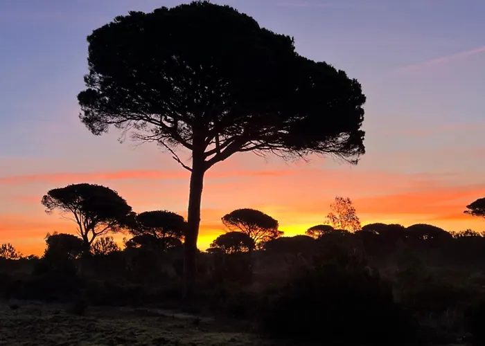 Candiles Semesterbostad *