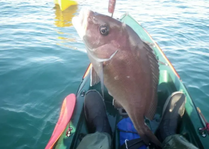 Semesterbostad Candiles Conil De La Frontera